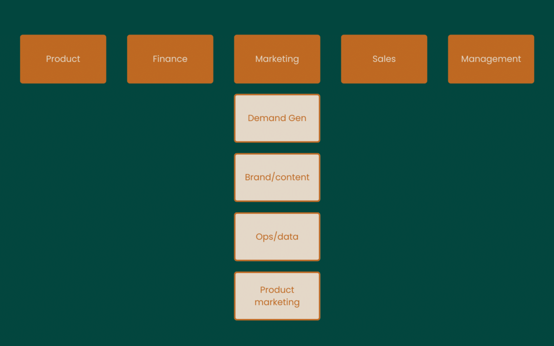 CMO : rôle, carrière, salaire et défis du poste